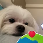 Ruby Lai - Facebook