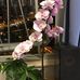 Ruby Lai - Facebook