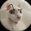 ~^ruby^~ - @rubyxlai - TikTok