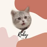 Ruby🐈🐾 - @rubyland___ - Instagram