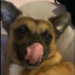 Ruby Lawrence - @rubylawrence398 - Instagram