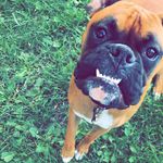 Ruby Lawrence :) - @ruby.lawrencee - Instagram