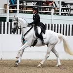 Ruby Lewis - @rjl_dressage - Instagram