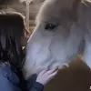 ruby.lloyd_x - @ruby.lloyd_x - TikTok