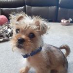 Ruby Lockhart - @rubylockhart51 - Instagram