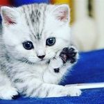 ruby - @rubyleigh_lockhart - Instagram