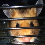 Rubyluker10 - @rubyluker10 - Instagram