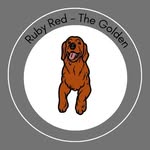 Ruby Red Lyles - @ruby.red_the_golden - Instagram