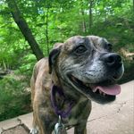 Ruby, Walk Enthusiast - @ruby__mackey - Instagram