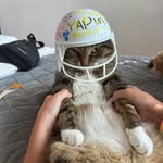 Ruby madden - @rubymadden16 - Instagram