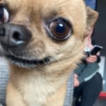 Rubymadden - @rubymadden735 - Instagram