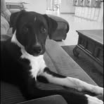 Ruby McAuliffe - Facebook