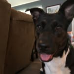 Ruby Mcdaniel - @mcdaniel.ruby - Instagram