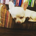 ruby joe love mcelroy - @ruby._.joe - Instagram