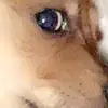 ruby.mcintosh8 - @ruby.mcintosh8 - TikTok