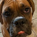 Ruby - @_ruby.mclaughlin_ - Instagram