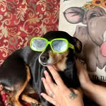 Ruby Meadows - @rubymeadows76 - Instagram