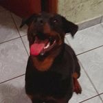 Ruby i mello - @ruby_and_zack.mello - Instagram