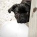 Ruby Messer - Facebook