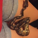 Ruby Metcalf - @pandabear276111 - Instagram