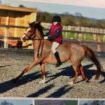 Ruby 💜 - @_ruby_miller_ - Instagram