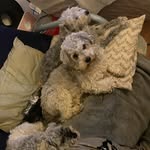 Ruby Morrell - @rubymor21 - Instagram