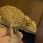 Ruby morrell-McCarthy - @ruby.lou.17 - Instagram