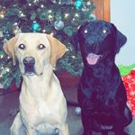Ruby & Dolly Morrow - @ruby.dolly.morrow21 - Instagram