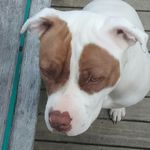 Ruby - @ruby_morrow_ - Instagram