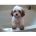 Ruby Newcombe - Facebook