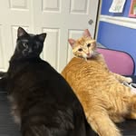 𝓡𝓾𝓫𝔂 𝓪𝓷𝓭 𝓢𝓪𝓵𝓵𝔂 - @rubyrudy.sallynewsom - Instagram