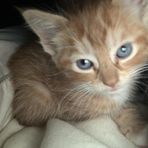 Ruby Norris - Facebook