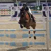 Ruby - @rubynorrisshowjumping - TikTok