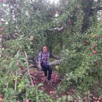 Ruby O'Connor - @rubsjane - Instagram