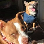 Ruby & Oliver - @ruby.and.oliver - Instagram