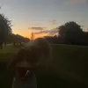 ruby - @rubypalmer_ - TikTok