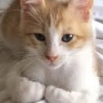 ruby 🤍 - @ruby.passmore2 - Instagram