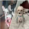 💕RUBY & PENNY💐 - @penny.and.ruby123 - TikTok
