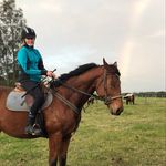 Ruby + Perry 🐴 - @rubytequine - Instagram