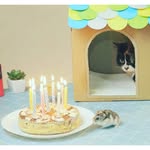 Ruby Pickering - @rubypickering31 - Instagram