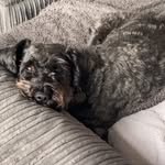 Ruby Pickering - @ruby_picksy - Instagram