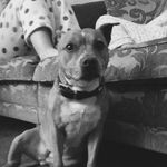 Ruby Potts - @ruby.potts - Instagram