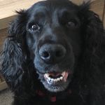 Ruby - @rubypotts_xx - Instagram