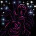 Robbie Purvis - Facebook