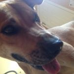 Ruby Quick❤️ - @rubyqu1ck - Instagram