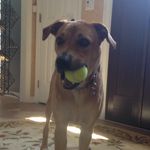 Ruby Quick - @ruby_qu1ck - Instagram