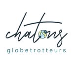 Chatons globetrotteurs - @rubyandreece - Instagram