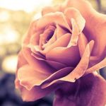 Ruby🌹💎 - @_ruby_reece_ftw - Instagram