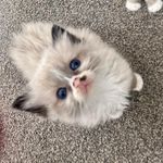 Rubyrice - @rubyrice44 - Instagram
