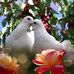 Ruby Rios - Facebook